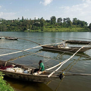 7-Day Rwanda Wild Life Safari , Chimps& Canopy Walk Tour