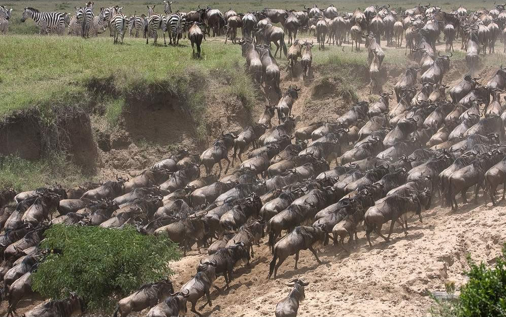 Kenya