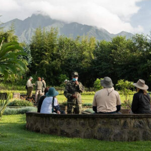 3-Day Rwanda Mountain Gorilla Tracking Safari.