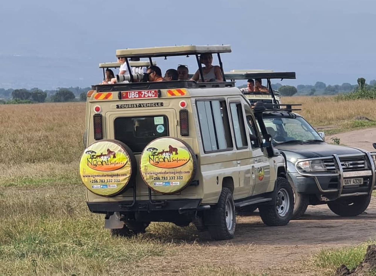 4-Day Classic Safari to Tarangire-Serengeti & Ngorongoro - Image 4