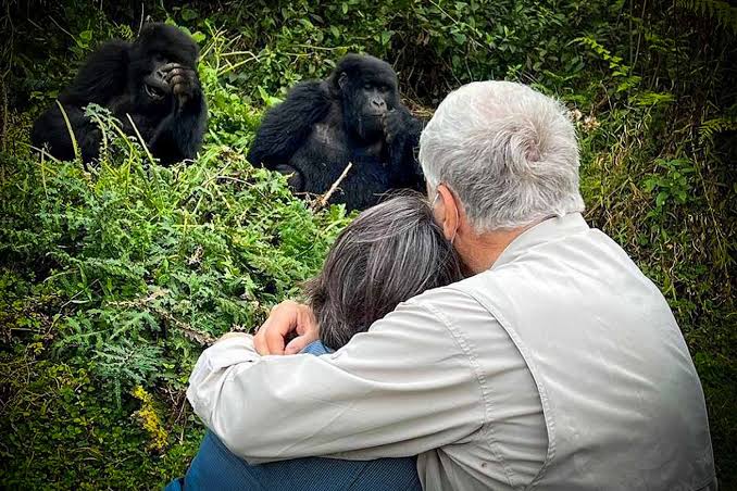 3-Day Rwanda Mountain Gorilla Tracking Safari. <i class="rhicon rhi-arrow-circle-right floatright"></i>