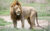 3-Day Safari from Zanzibar, Tarangire Ngorongoro Manyara